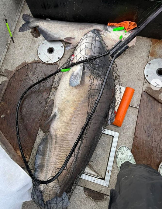 Drift Fishing for Catfish: Techniques, Gear, and the Benefits of Using Planer Boards