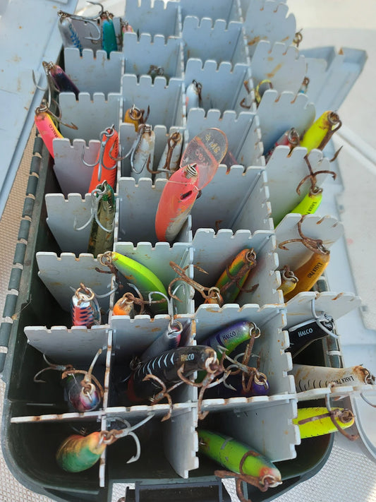Essential Fishing Lures for Every Condition and Species